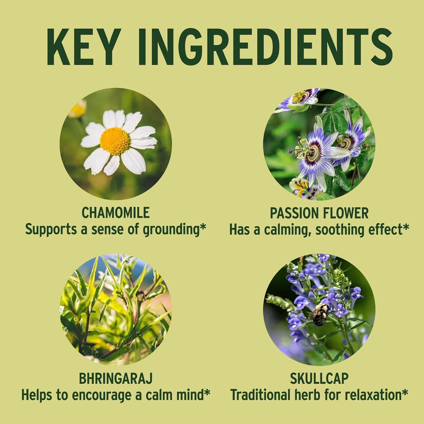 organic-tranquil-mind-supplement-with-guduchi-gotu-kola-skullcap-for-calmness---90-tablets---non-gmo-vegan-formula-from-banyan-botanicals-2