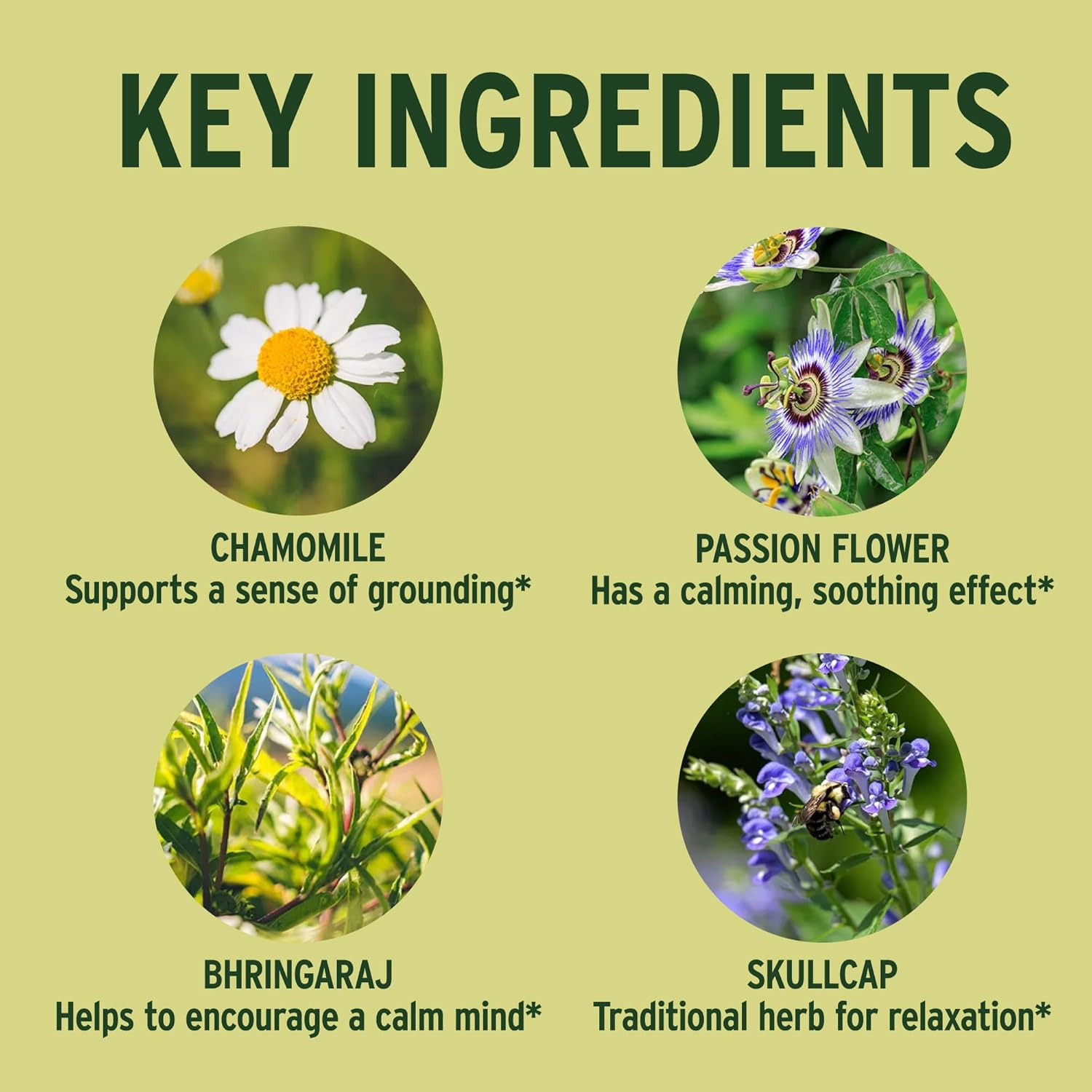 organic-tranquil-mind-supplement-with-guduchi-gotu-kola-skullcap-for-calmness---90-tablets---non-gmo-vegan-formula-from-banyan-botanicals-2