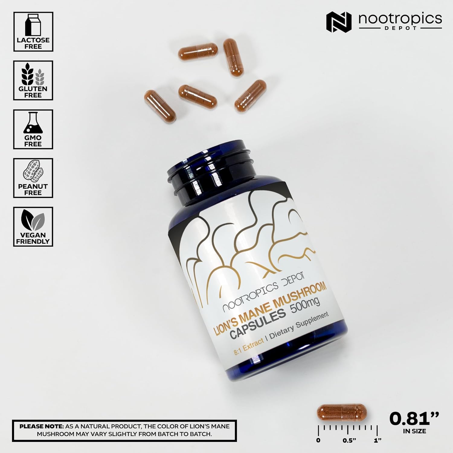 nootropics-depot-lions-mane-mushroom-capsules---81-dual-extract---500mg---60-count---hericium-erinaceus-3
