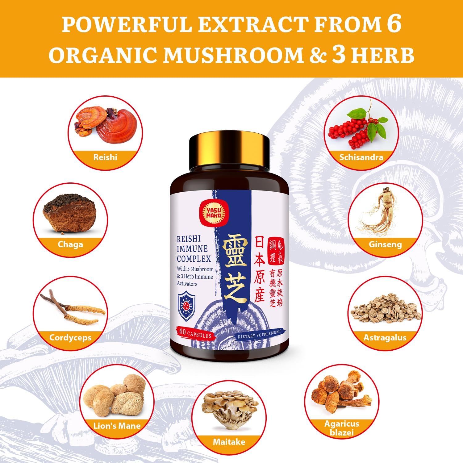 organic-japanese-reishi-mushroom-complex-supplement-1500mg---blend-of-reishi-chaga-cordyceps-lions-mane-maitake-agaricus-mushrooms-extract-3-herb-capsules-for-immune-support-brain-health-energy-boost---1-pack-3