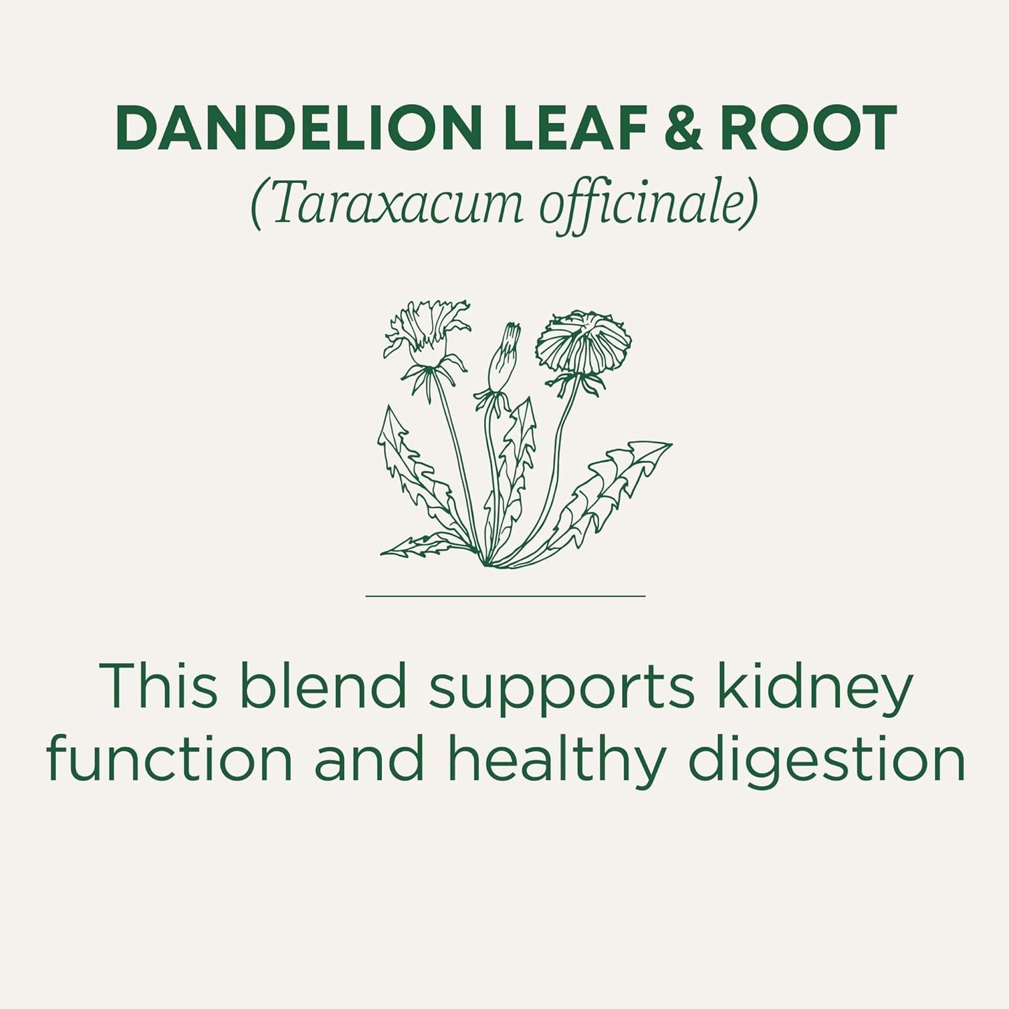 organic-dandelion-leaf-root-tea-for-kidney-health-digestion---16-tea-bags-3