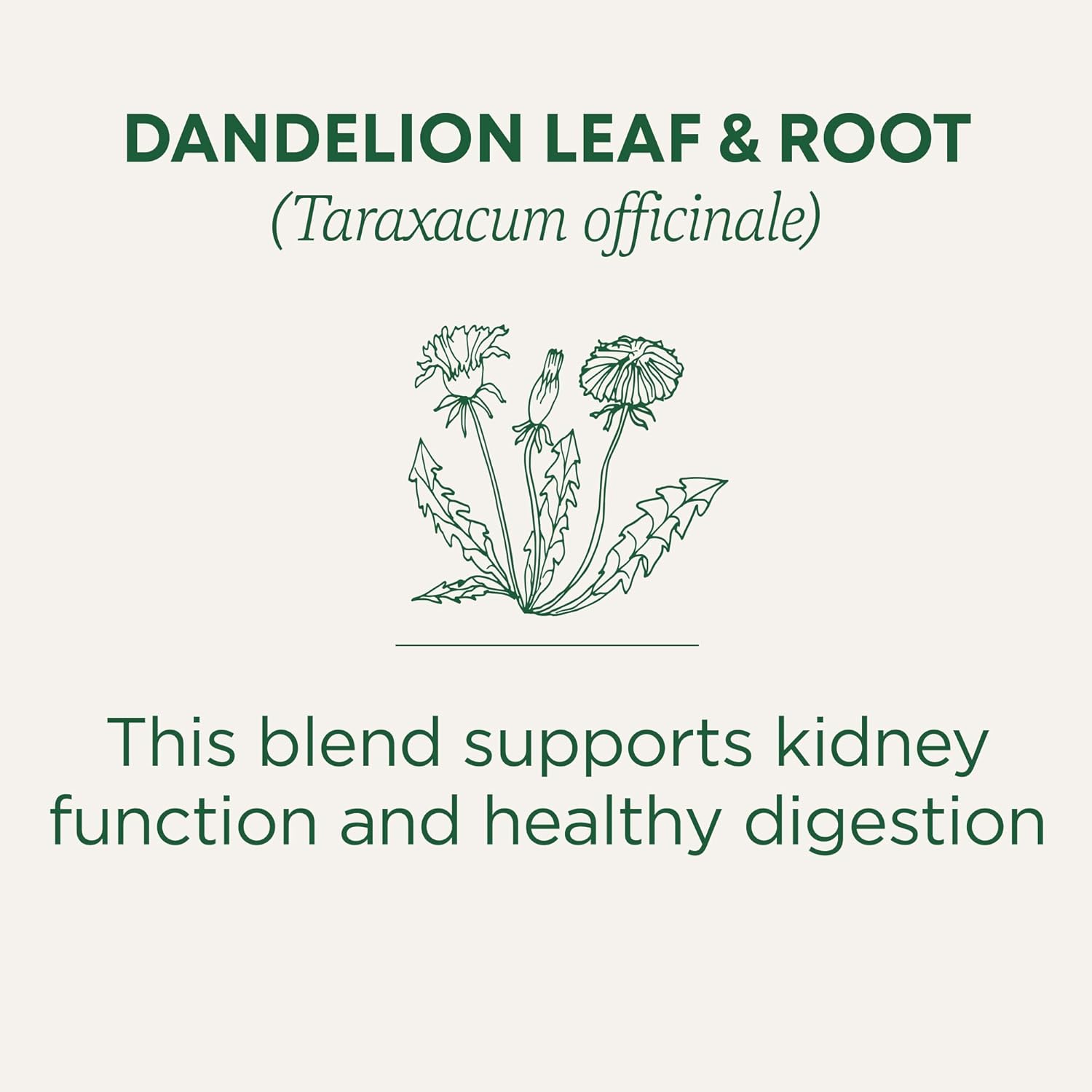 organic-dandelion-leaf-root-tea-for-kidney-health-digestion---16-tea-bags-3