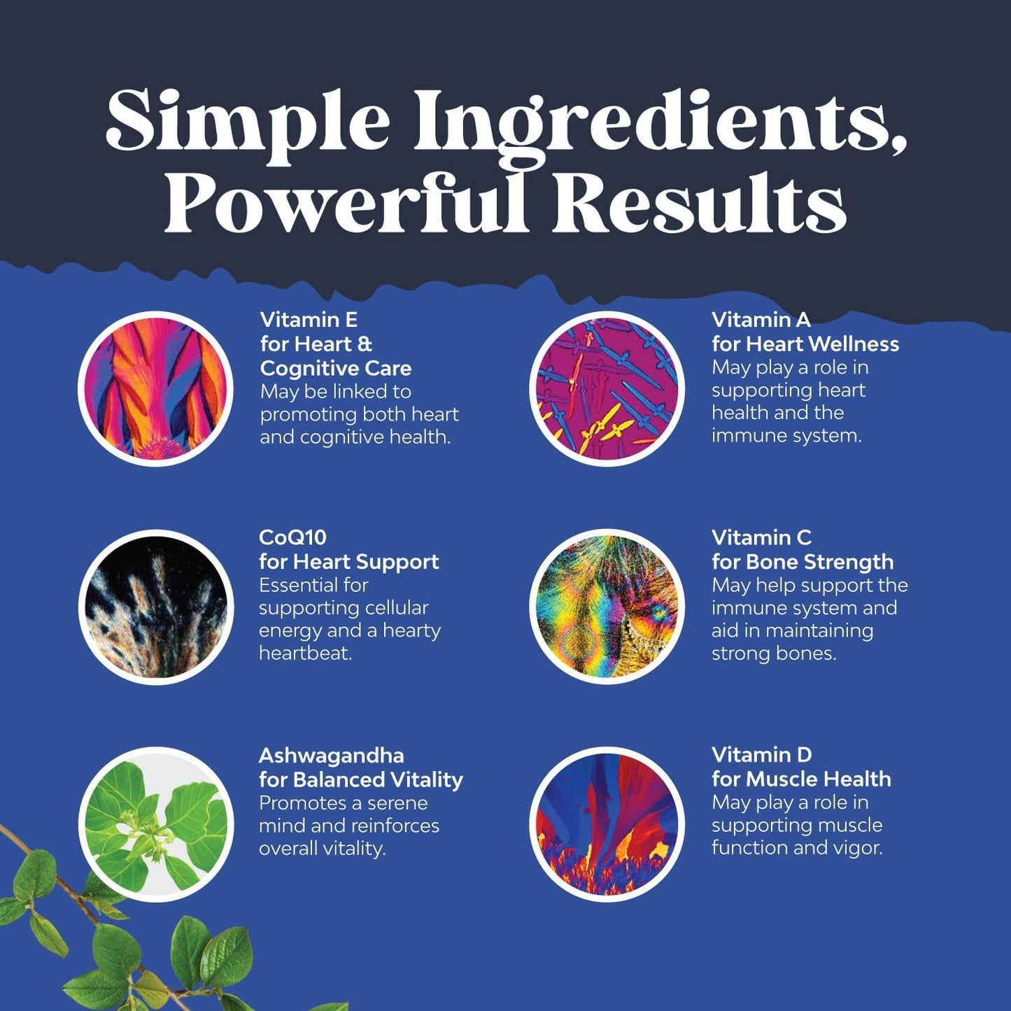 mens-daily-multivitamin-gummies-with-zinc-and-biotin---immune-support-and-energy-boost---non-gmo-gluten-free-halal---90-count-5