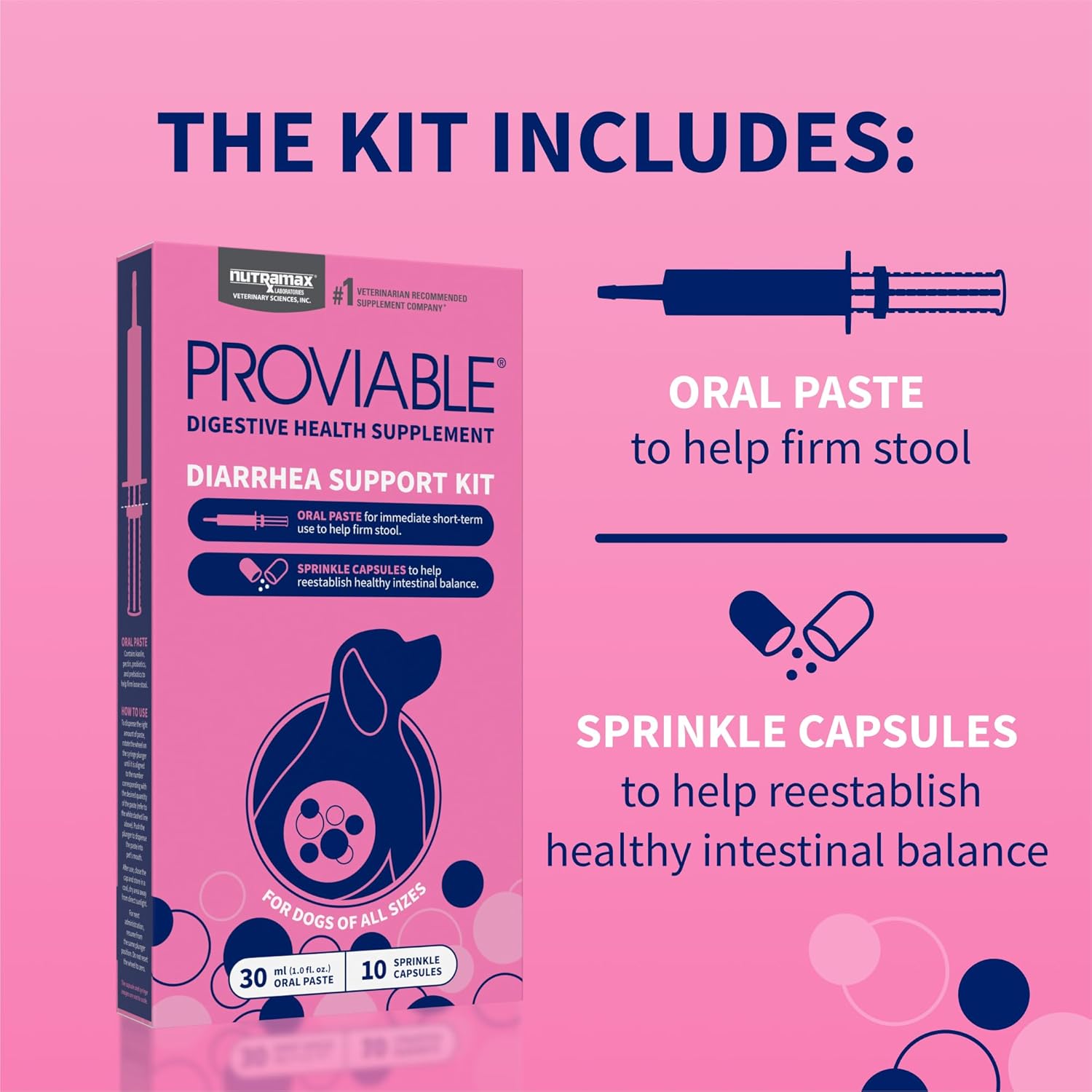 nutramax-laboratories-proviable-digestive-health-supplement-kit-for-medium-to-large-dogs---multi-strain-probiotics-and-prebiotics-7-bacteria-strains-30-ml-paste-10-capsules-4