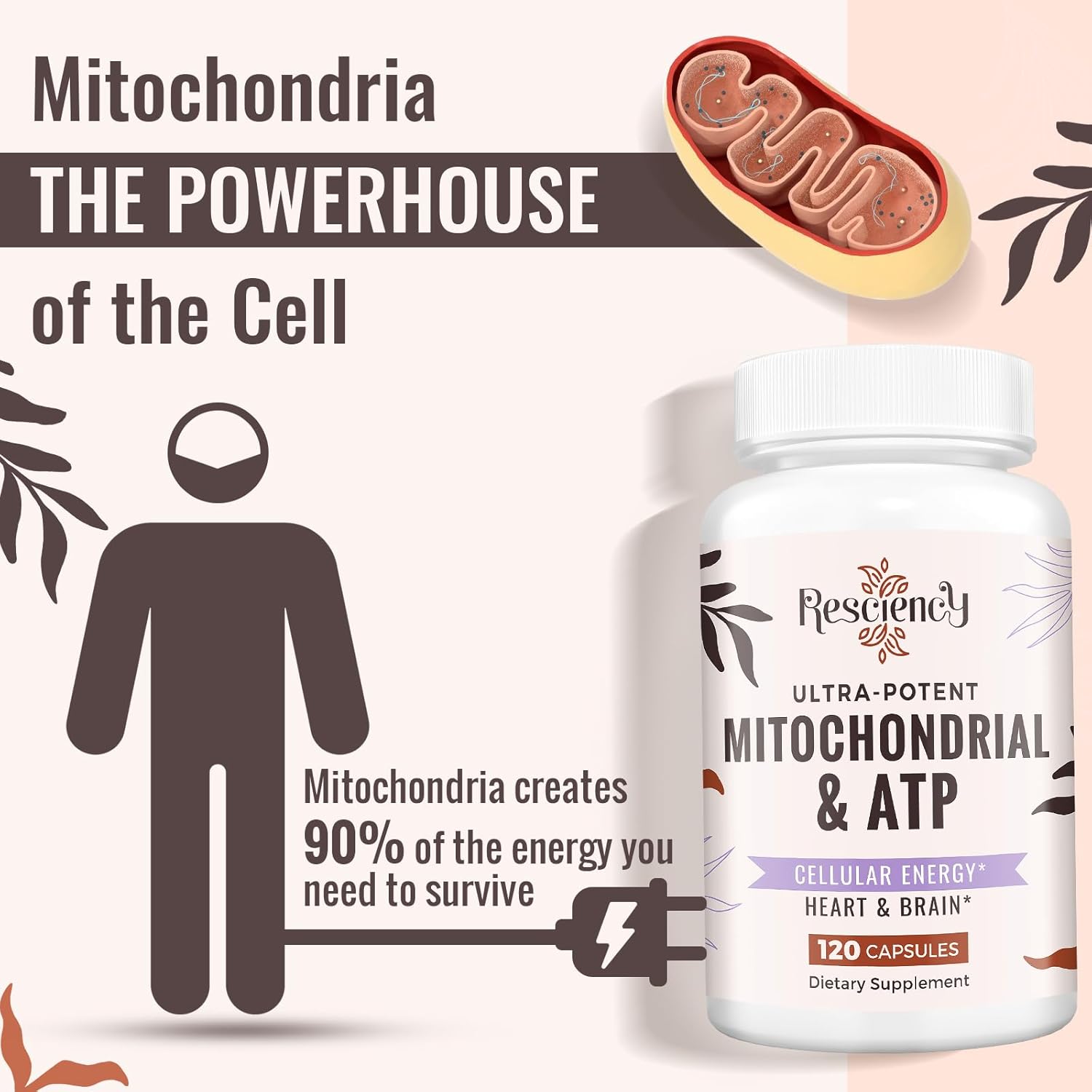 organic-resciency-2326-mg-mitochondrial-supplement-capsules-with-atp-vitamins-coq10-pqq-for-energy-endurance-strength-muscle-recovery-5