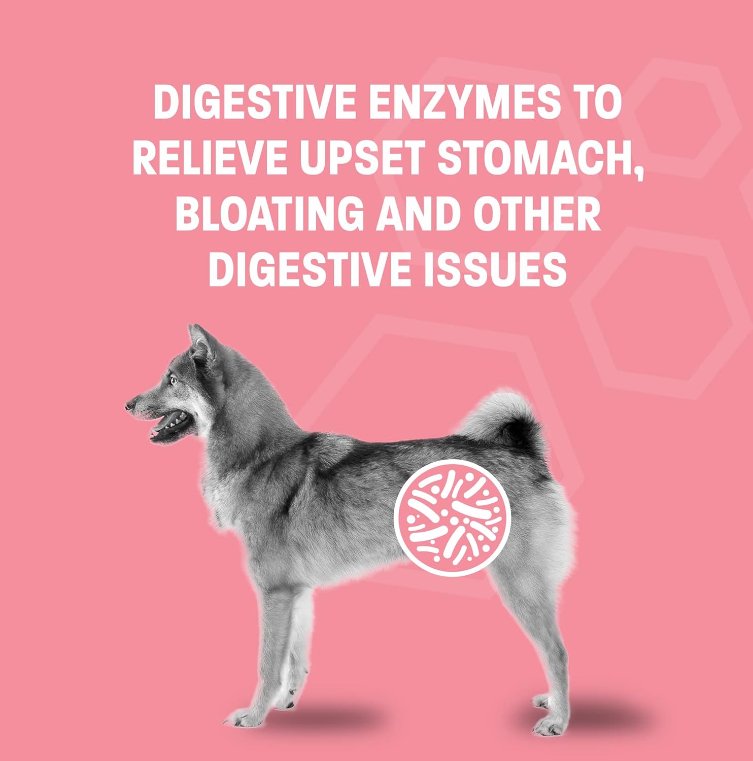 pet-health-pros-probiotic-gel-for-dogs-cats---promotes-digestive-health---anti-diarrhea-probiotics-for-pets---ideal-for-travel-kenneling-training---30-cc-3