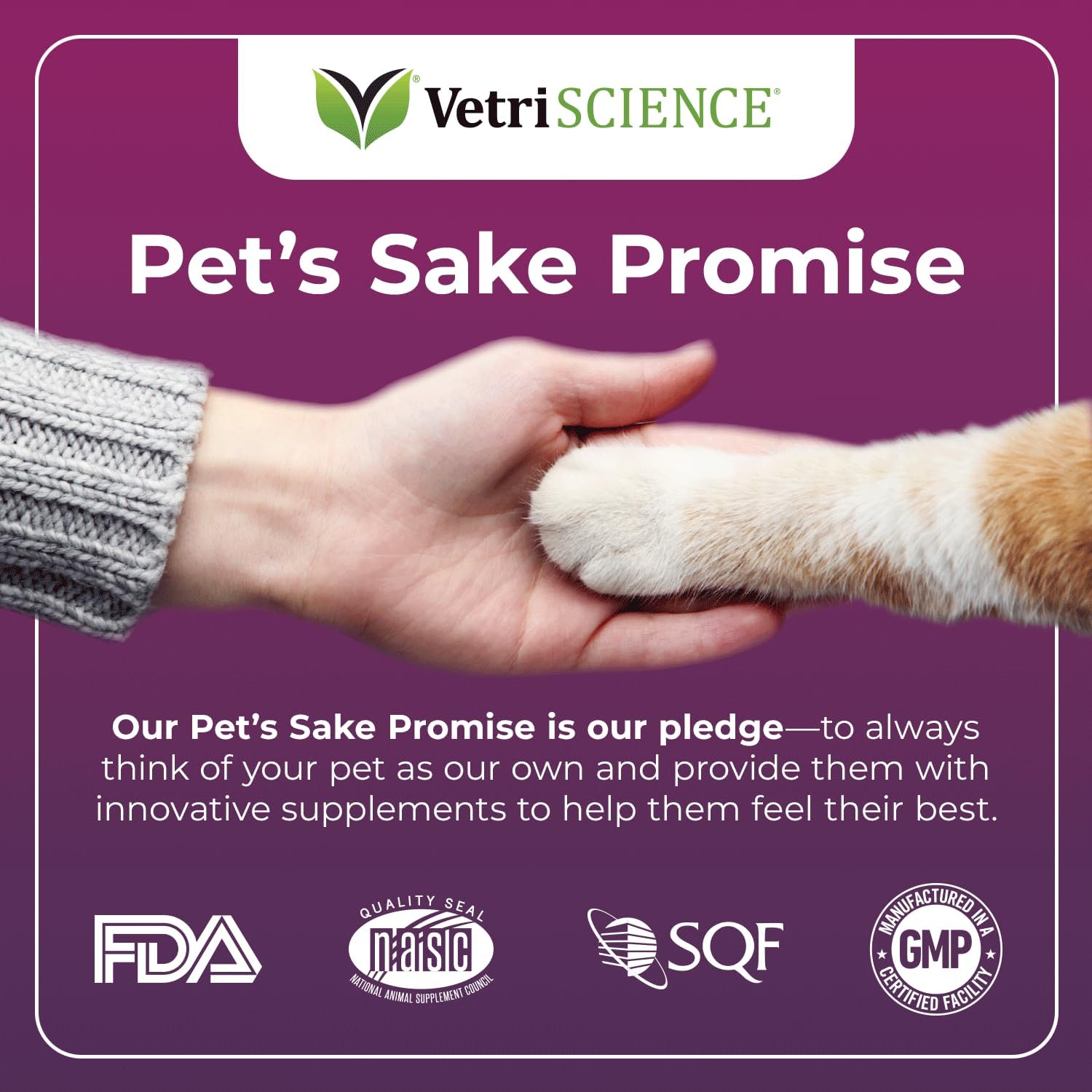 triple-action-cat-lysine-powder-with-scoop-for-immune-respiratory-health---vetriscience-lysine-supplement-for-cats-with-l-lysine-dmg-7