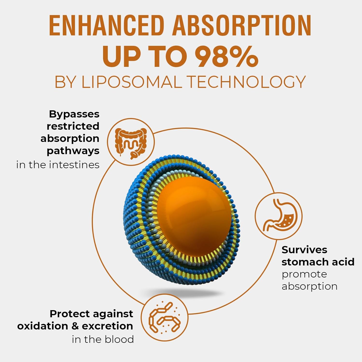 high-absorption-57000-mg-liposomal-rhodiola-rosea-supplement-liquid-tincture-for-energy-stress-mood---vegan---60-ml-4
