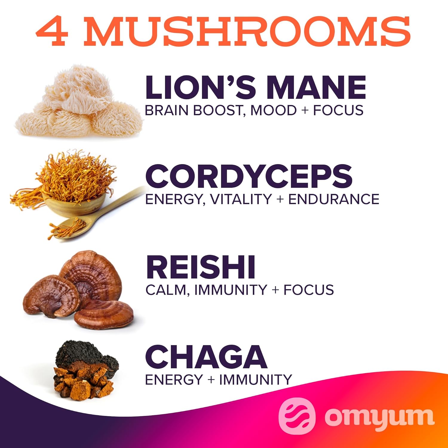 Organic Mushroom Blend Coffee Alternative - Superfood Adaptogens with Cacao, Lion’s Mane, Reishi, Cordyceps, Ashwagandha & L-Theanine for Calm Energy, Focus & Gut Health (30 Servings) - Espot.com.au