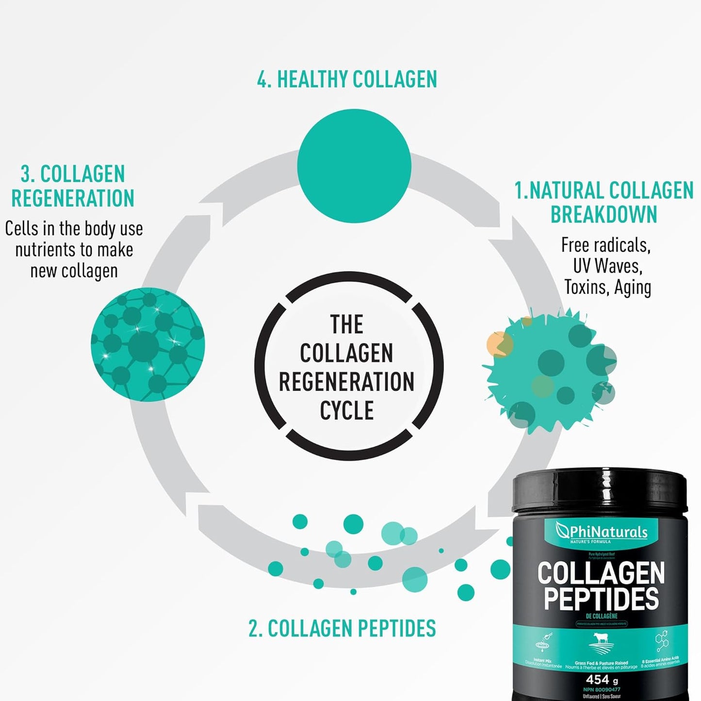 grass-fed-bovine-beef-collagen-peptides-powder---unflavored-hydrolyzed-supplement-for-men-and-women-by-phinaturals-7