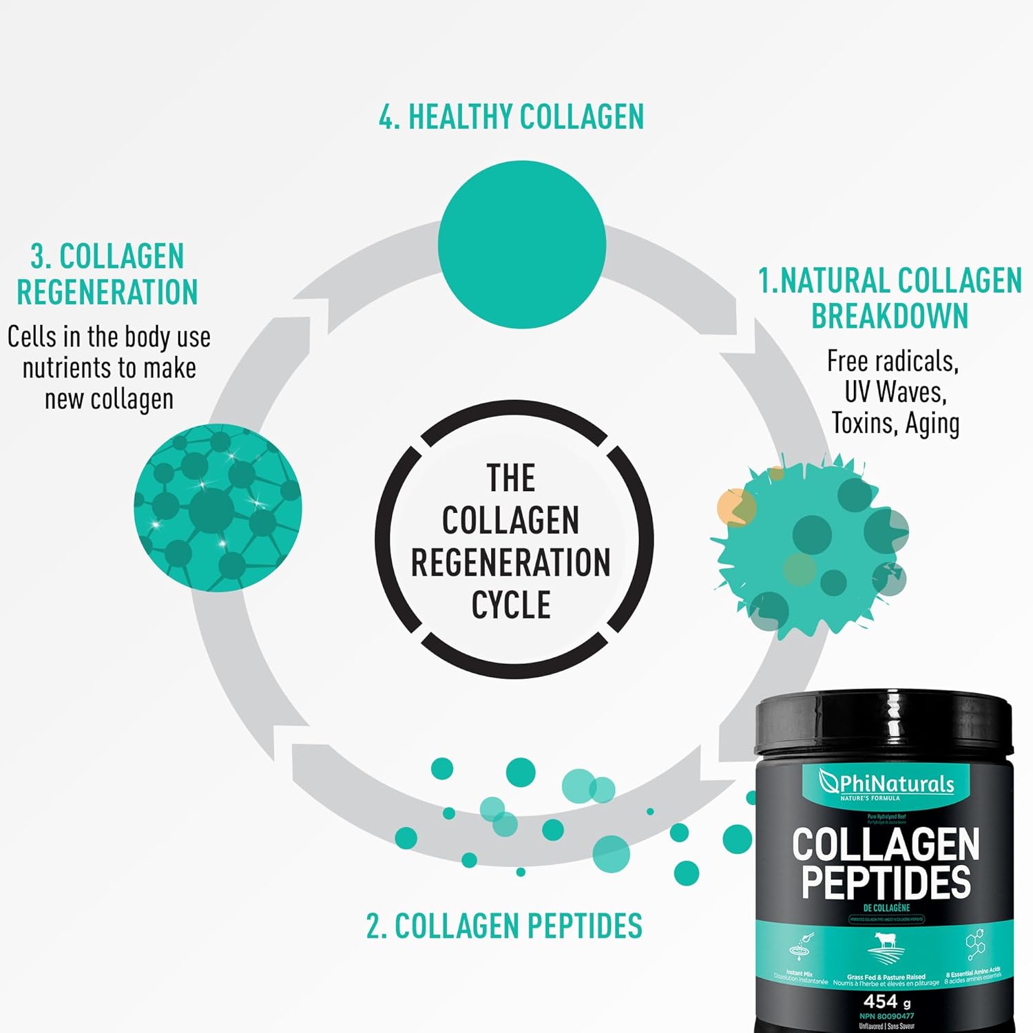 grass-fed-bovine-beef-collagen-peptides-powder---unflavored-hydrolyzed-supplement-for-men-and-women-by-phinaturals-7