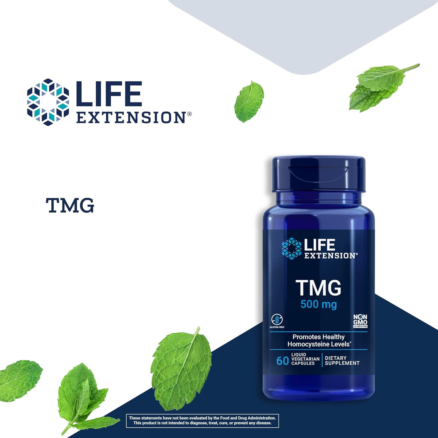 tmg-500-mg-supplement-for-healthy-homocysteine-levels---gluten-free-non-gmo-vegetarian---120-liquid-capsules-2-pack-3