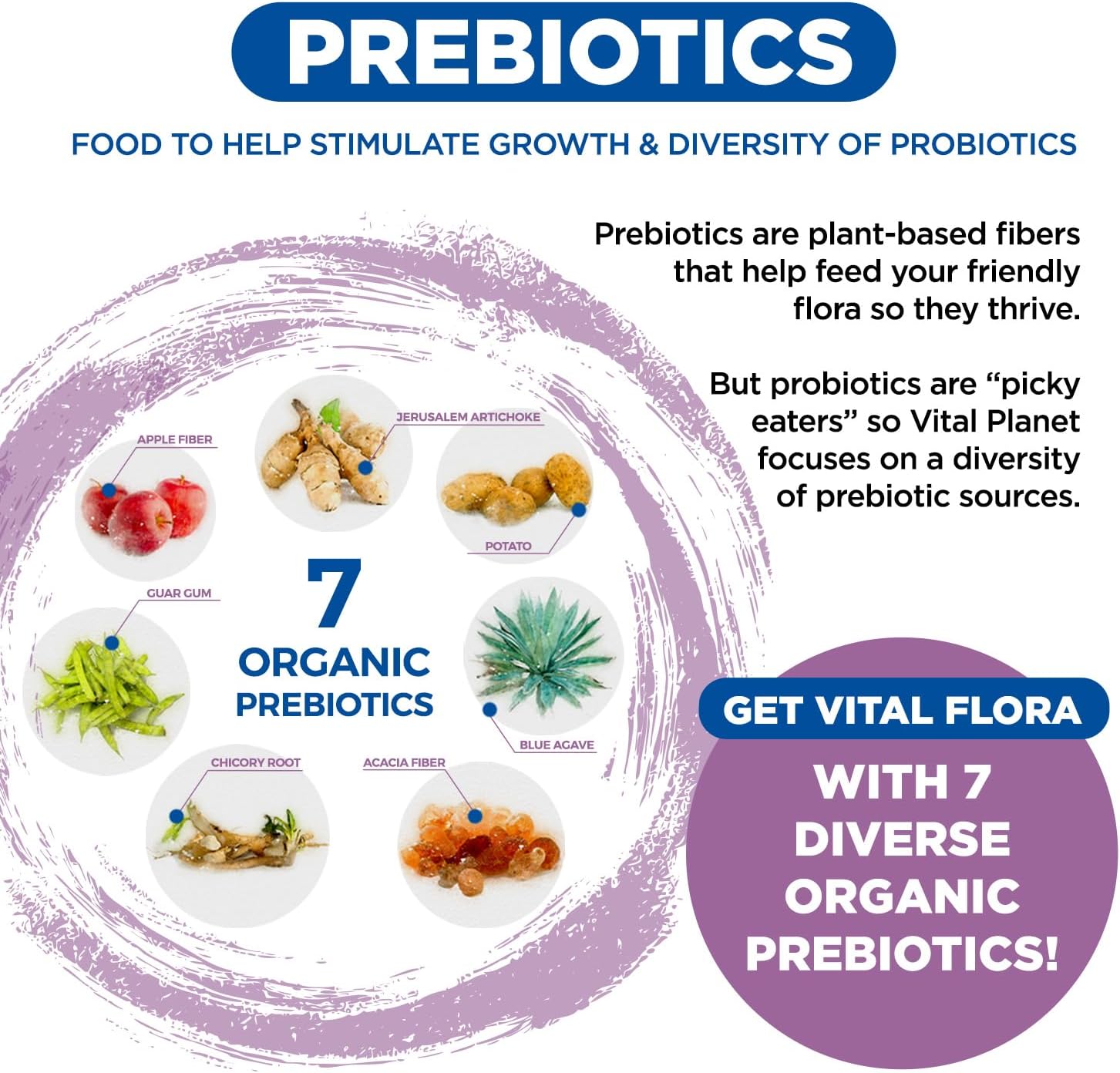 vital-planet-womens-daily-probiotic---60-billion-cfu-organic-prebiotics-immune-vaginal-support---30-capsules-5