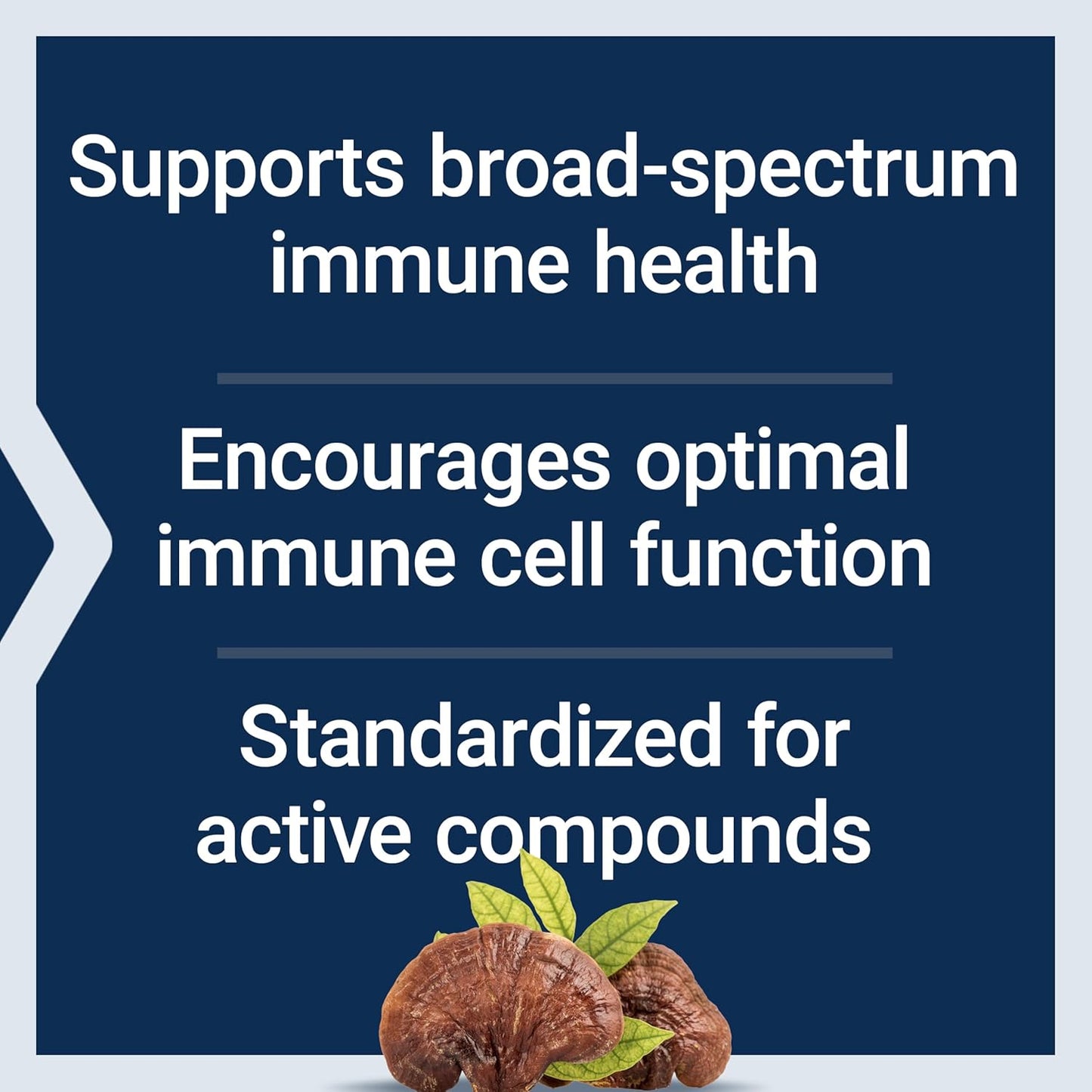 reishi-mushroom-complex-supplement-for-immune-support---ganoderma-lucidum-extract---gluten-free-non-gmo-vegetarian---60-capsules-by-life-extension-4