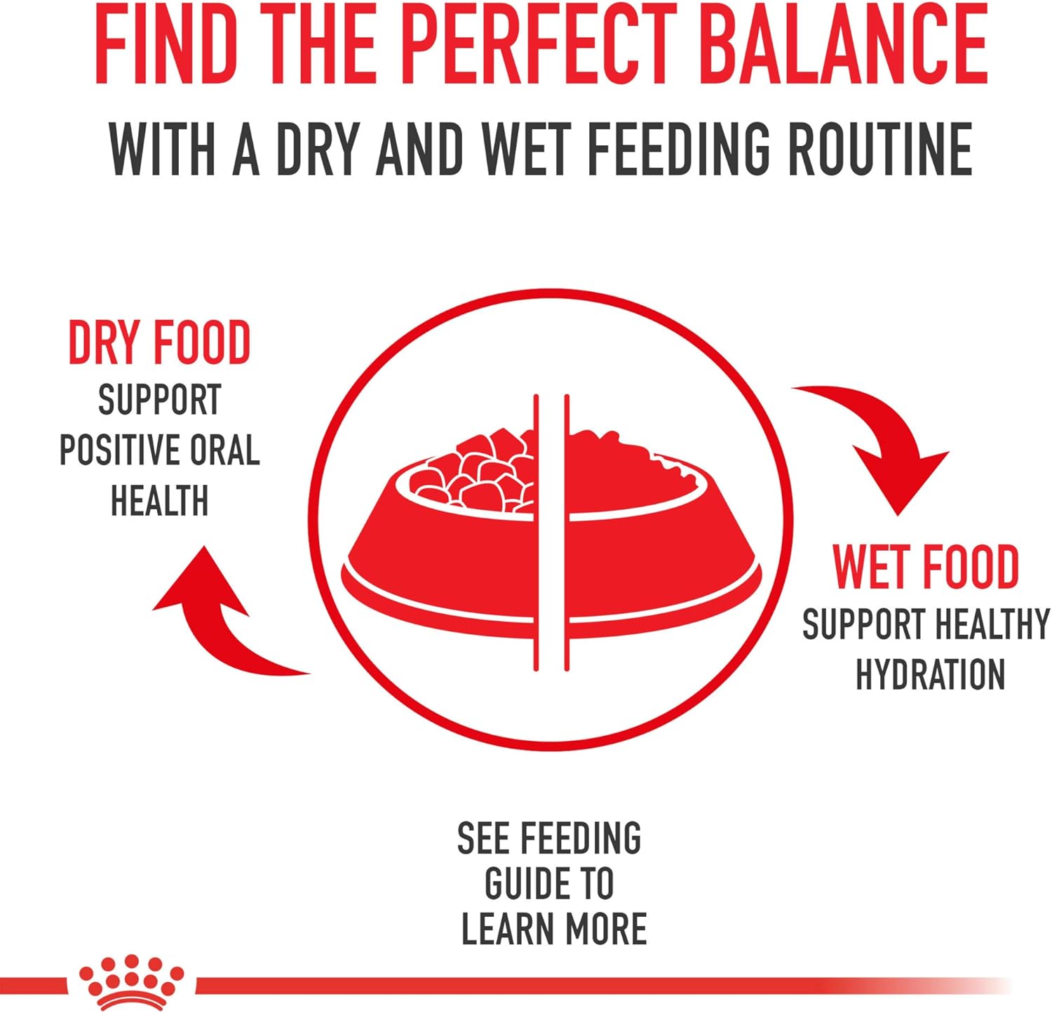 royal-canin-kitten-loaf-in-sauce-canned-cat-food---24-pack-51-oz-per-can-8
