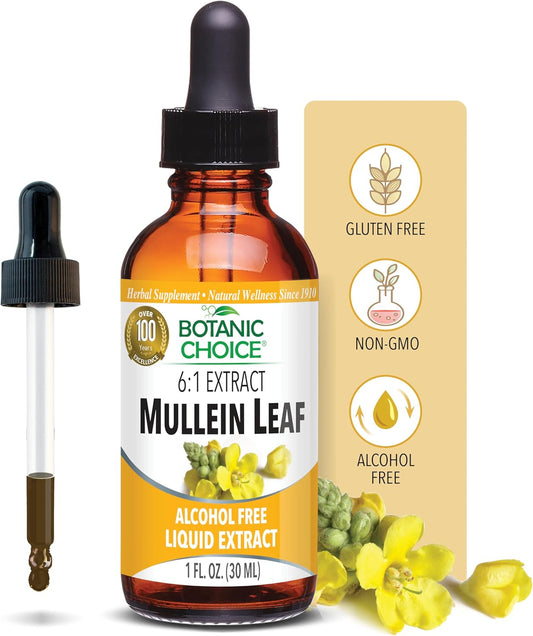 mullein-leaf-liquid-extract---alcohol-free-traditional-respiratory-support---1-fl-oz---gluten-free---botanic-choice-1