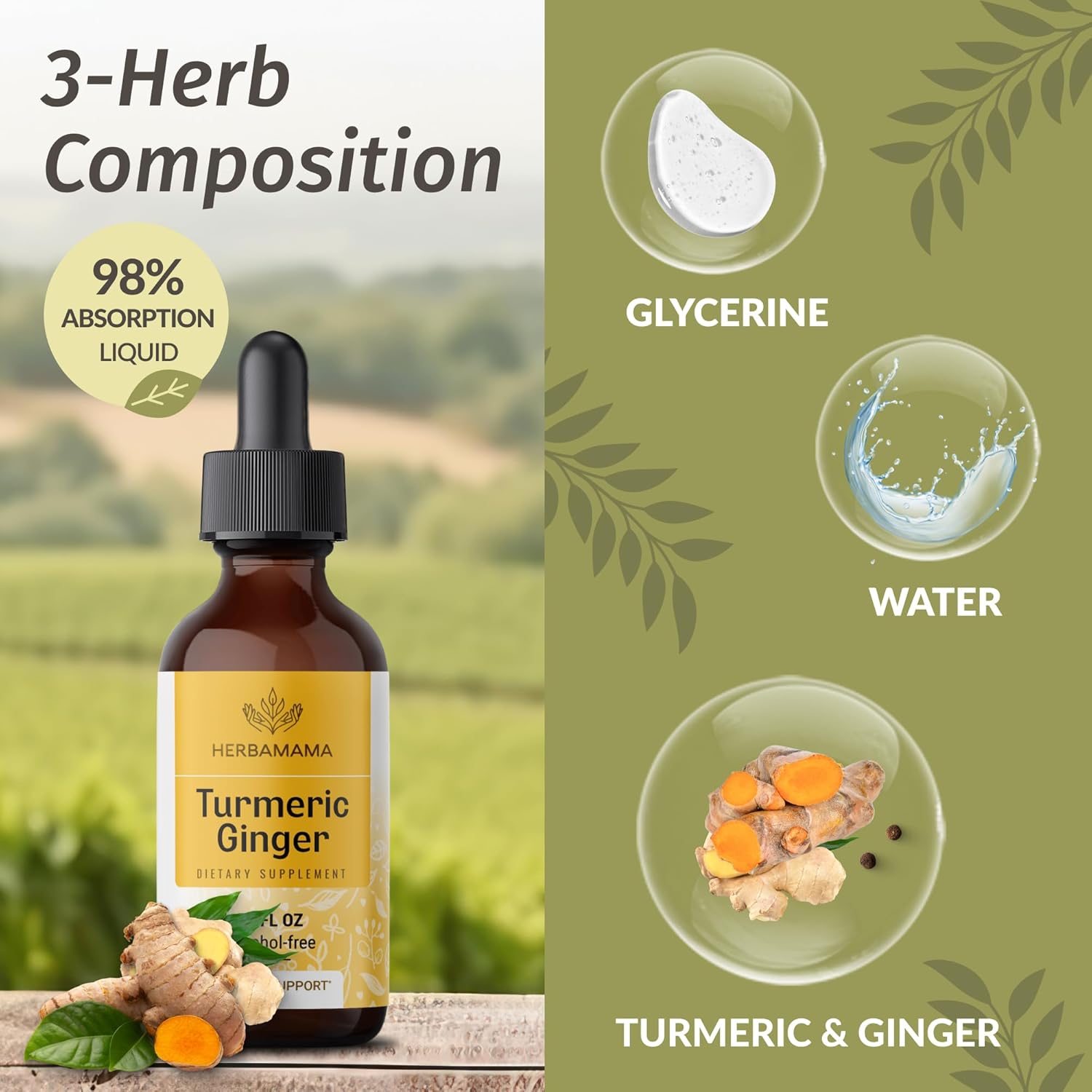 chlorophyll-and-turmeric-ginger-bundle-50mg-gummies-2fl-oz-tincture---vegan-non-gmo-alcohol-free---2-pack-7