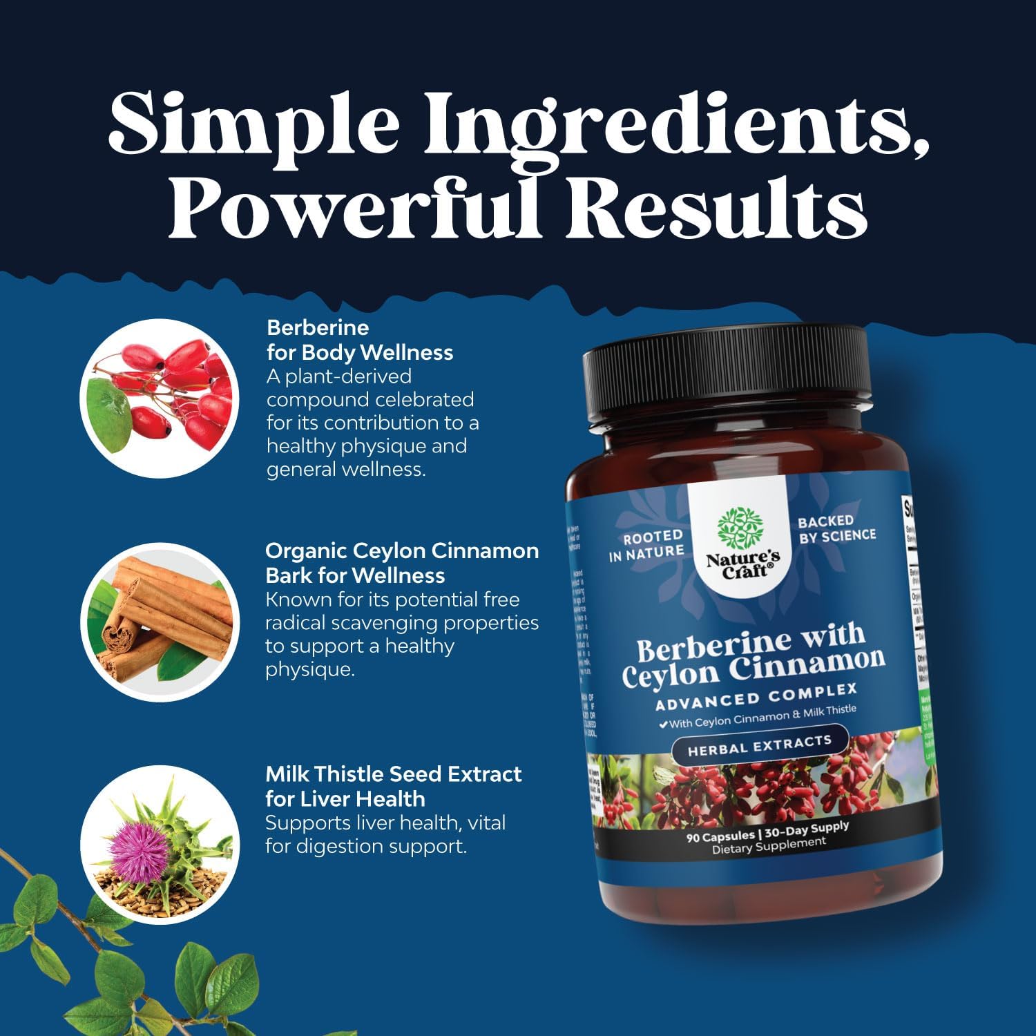 1200mg-berberine-cinnamon-antioxidant-complex-with-milk-thistle---heart-health-support---90-capsules-5