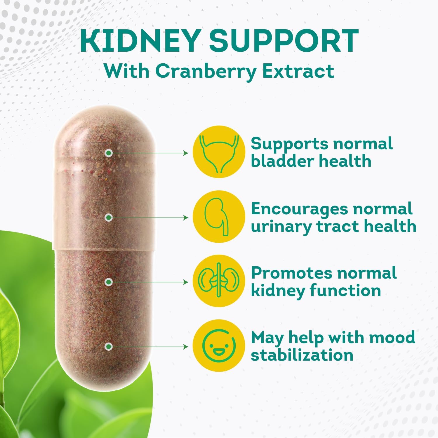 kidney-support-supplement-with-cranberry-extract-astragalus-for-urinary-health---60-capsules-for-men-and-women---cleanse-detox-repair-formula-for-bladder-health-2