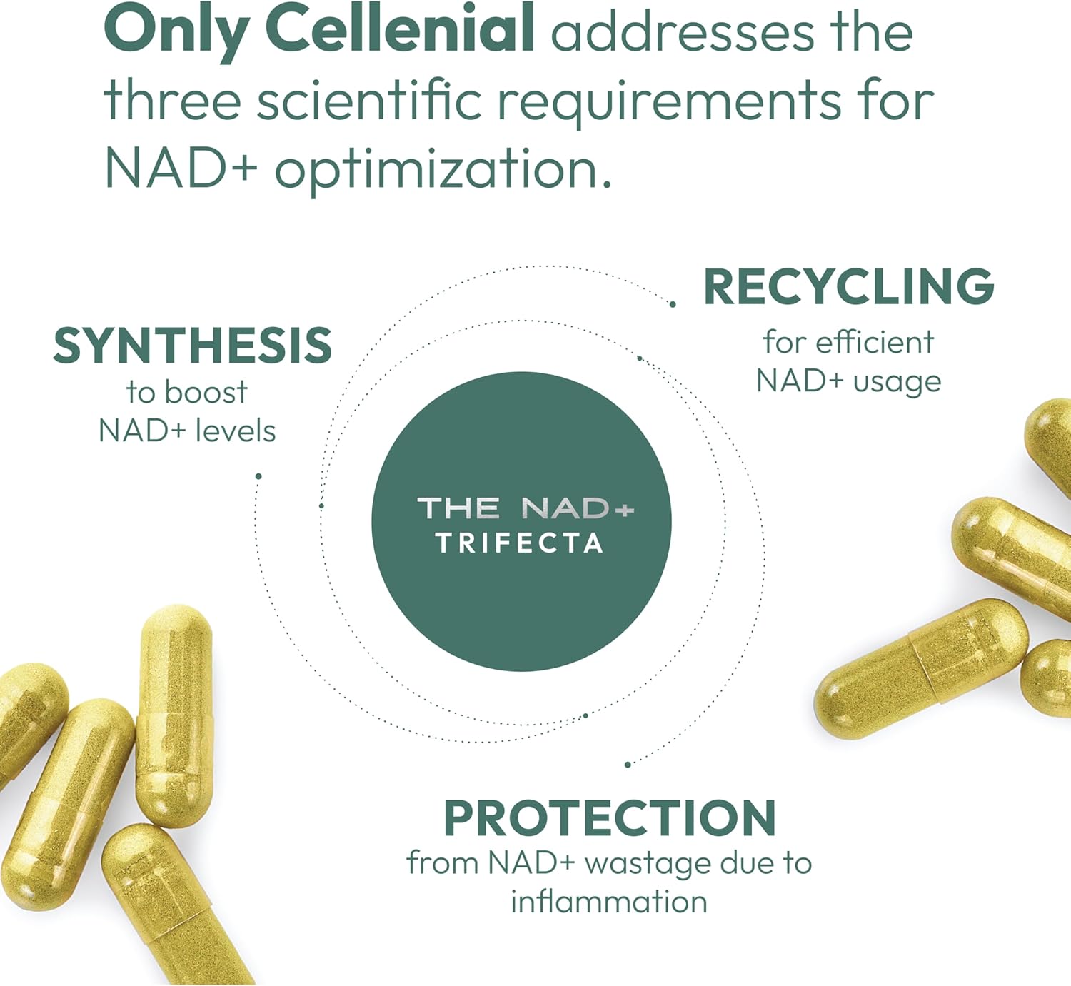 axia-longevity-cellenial-patented-nad-supplement-for-dna-repair-cellular-energy-aging-and-brain-function---next-generation-boosting-formula-3