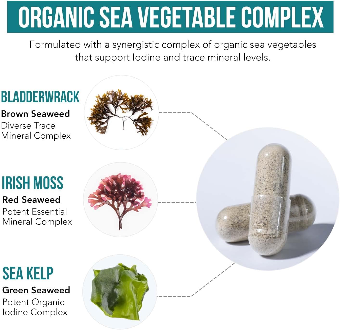 organic-iodine-supplement---1500mcg-from-sea-vegetable-complex---max-strength-icelandic-sea-kelp-irish-moss-bladderwrack-3
