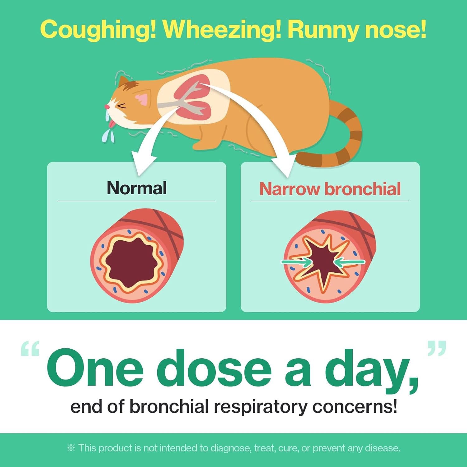 cat-breath-bronchial-supplements-for-cat-sneezing-asthma-cold-and-cough---respiratory-function-immune-support-by-drby---individually-packaged-chicken-flavored---30-count-2