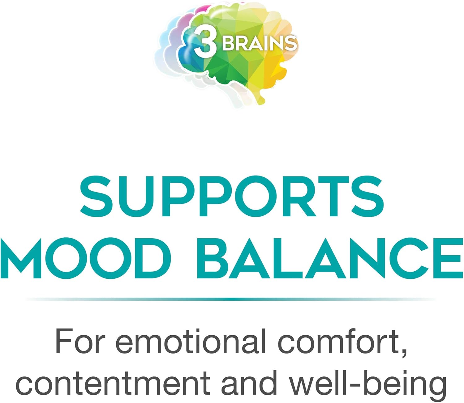 natural-factors-3-brains-mental-sunshine-supplement-supports-healthy-mood-balance-vegan-90-enteric-coated-tablets-6