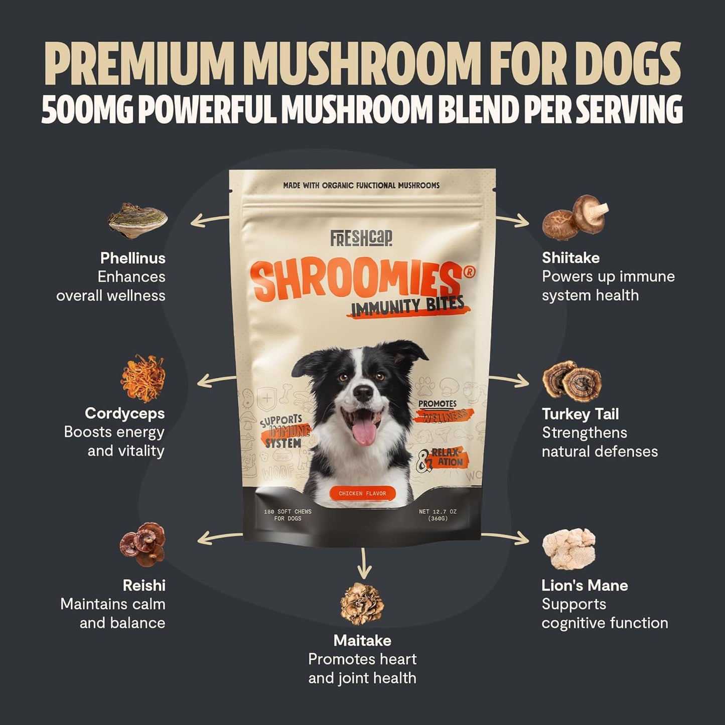 turkey-tail-mushroom-dog-supplement---immune-support-calming-treats-for-dogs---freshcap-shroomies-180-soft-chews-2