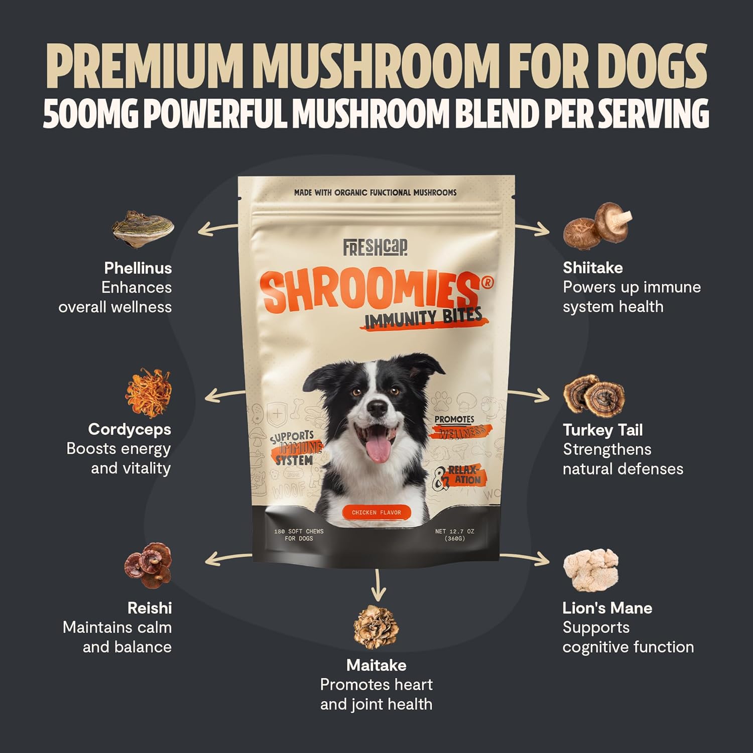 turkey-tail-mushroom-dog-supplement---immune-support-calming-treats-for-dogs---freshcap-shroomies-180-soft-chews-2