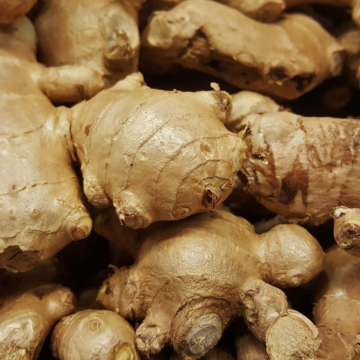 organic-alcohol-ginger-root-extract-supplement-for-digestive-support---2oz-5