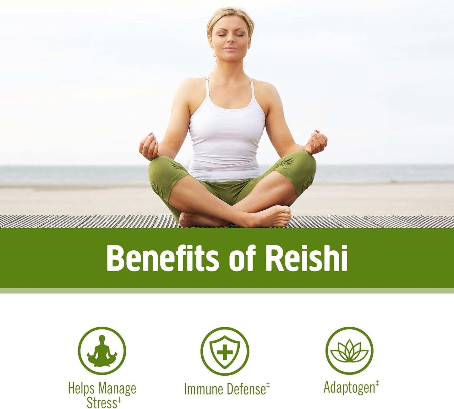 Organic Lion's Mane & Reishi Mushroom Powder Bundle - 7.05oz, 200 Servings - Espot.com.au