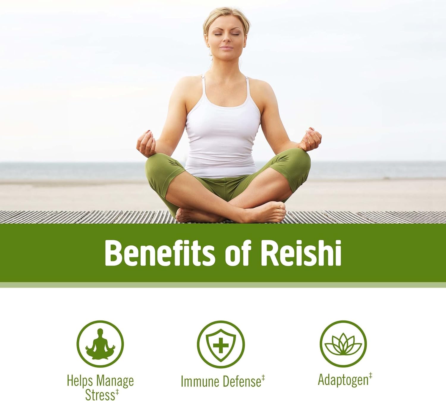 Organic Lion's Mane & Reishi Mushroom Powder Bundle - 7.05oz, 200 Servings - Espot.com.au