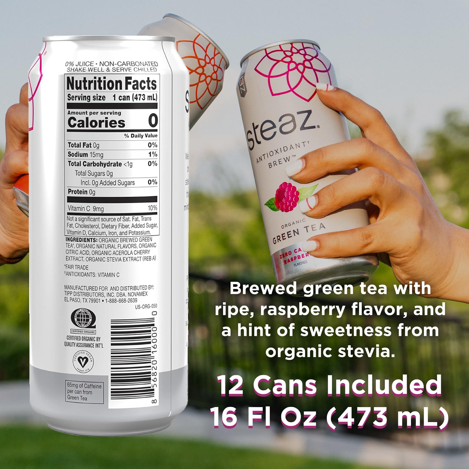 organic-zero-calorie-raspberry-green-tea-12-pack---antioxidant-brew-with-65mg-natural-caffeine-vitamin-c---stevia-sweetened-iced-tea---vegan-fair-trade---12-cans-16-fl-oz-3