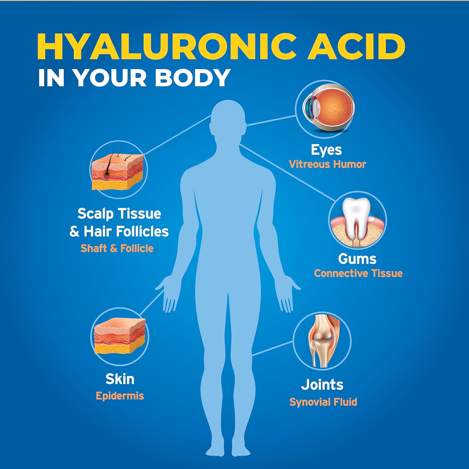 liquid-hyaluronic-acid-supplement---supports-skin-joints-eyes-lips---vegan-gluten-free---1oz-7