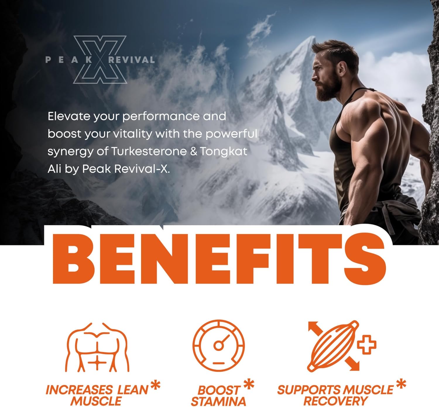 revivex-turkesterone-tongkat-ali-capsules-for-lean-muscle-growth-recovery-with-fadogia-agrestis-for-athletic-performance-muscle-mass-6