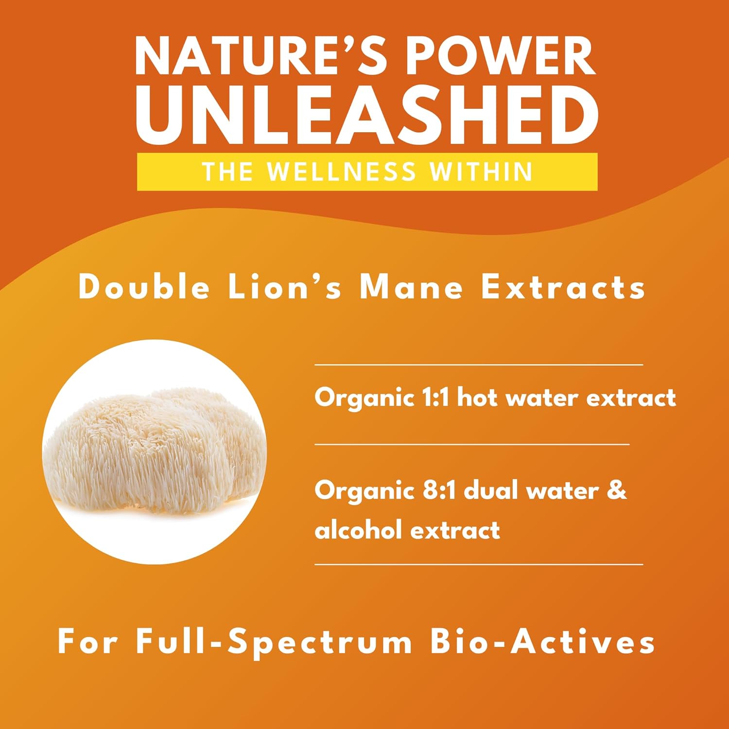 Organic Lion's Mane Mushroom Capsules - Fruiting Body Extracts for Brain Health - Memory, Mood, Immune Support - Vegan - 60 Capsules - Espot.com.au