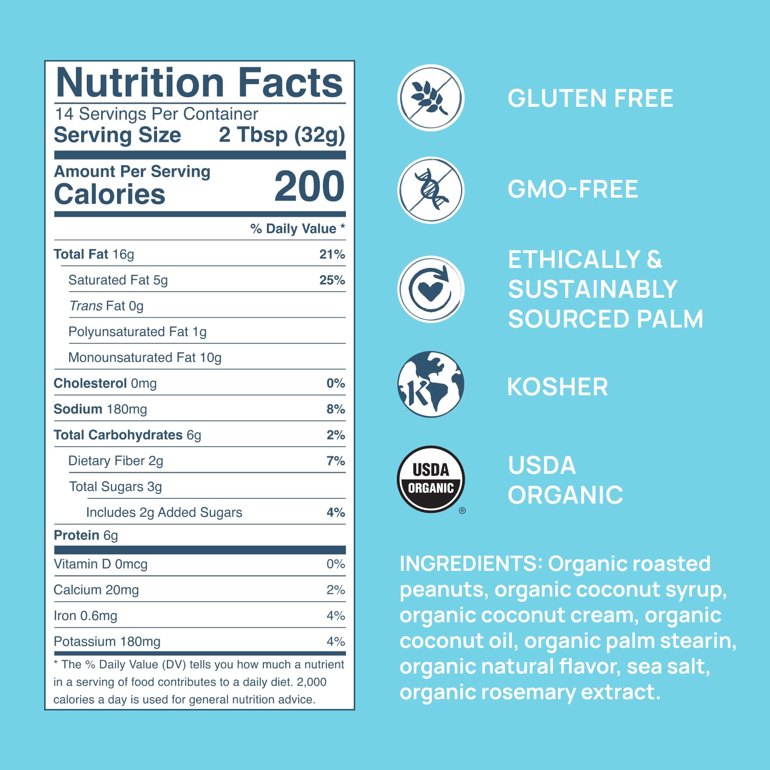 organic-coconut-peanut-butter-spread---vegan-gluten-free-high-protein-16oz-jar---healthy-and-creamy-snack-4