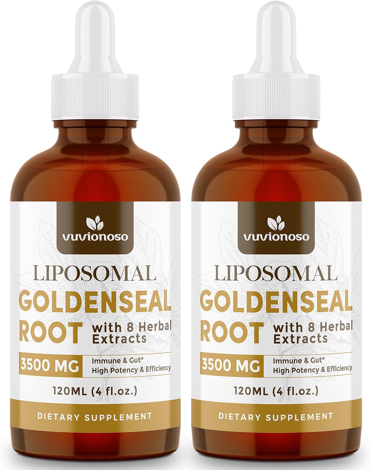 goldenseal-root-liquid-extract-for-immune-support-lung-health---3000mg-tincture---sugar-free-vegan---fast-absorbing-echinacea-goldenseal-blend---120ml-x-2-pack-1