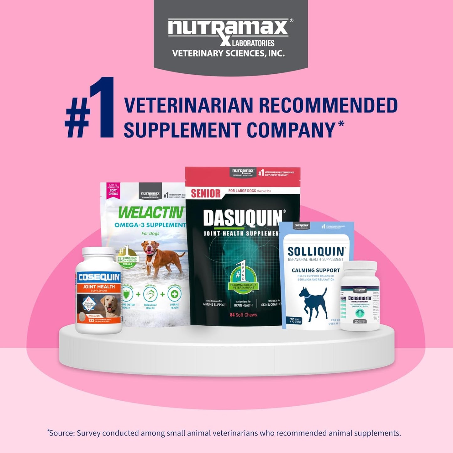 nutramax-laboratories-proviable-digestive-health-supplement-kit-for-medium-to-large-dogs---multi-strain-probiotics-and-prebiotics-7-bacteria-strains-30-ml-paste-10-capsules-13