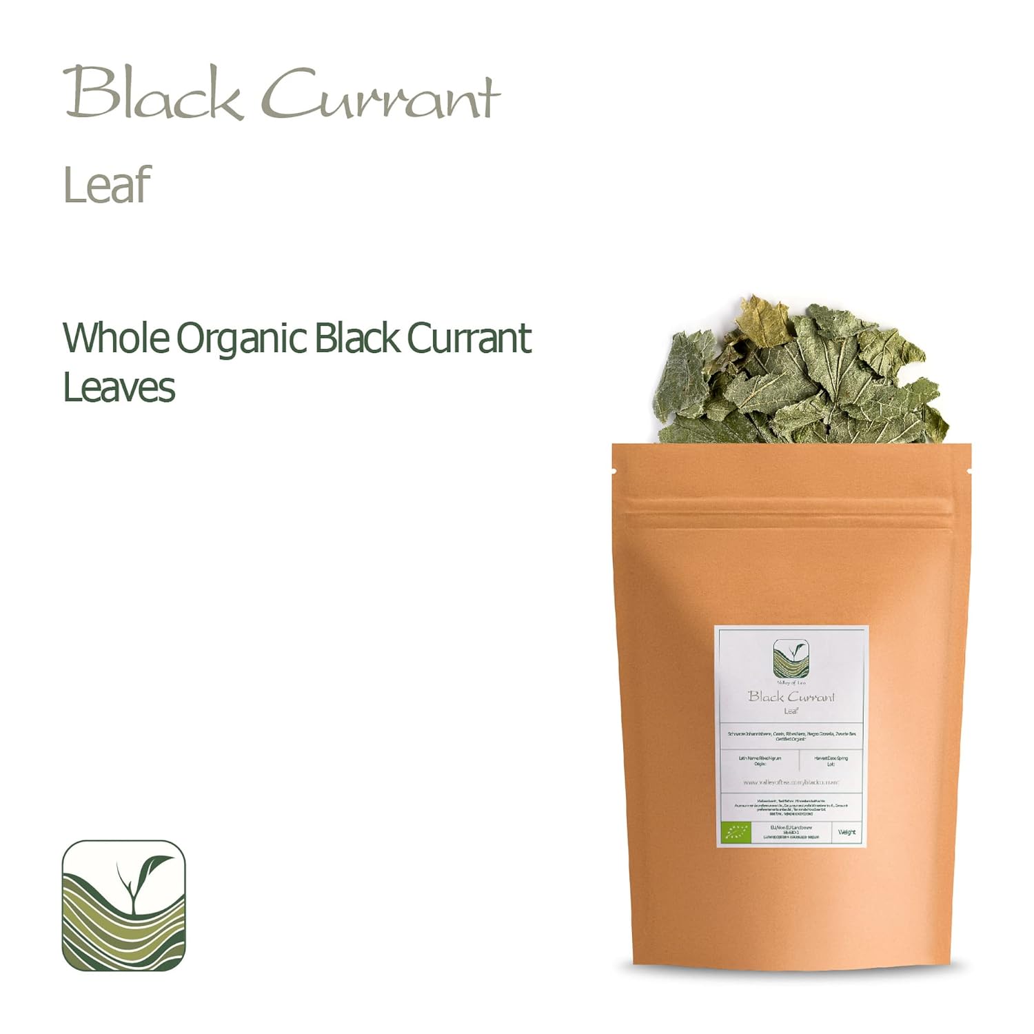 Organic Black Currant Leaf Tea - Perfect Pairing for Desserts - Ribes Nigrum Valley Tea - Espot.com.au