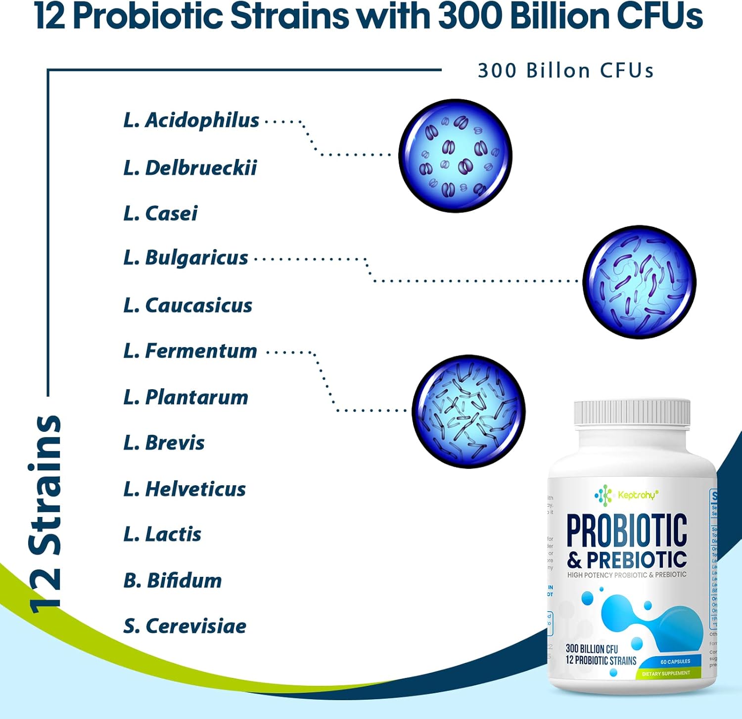 300-billion-cfu-probiotic-supplement-for-gut-immune-health-12-strains-organic-prebiotics-women-men-shelf-stable---240-capsules-7