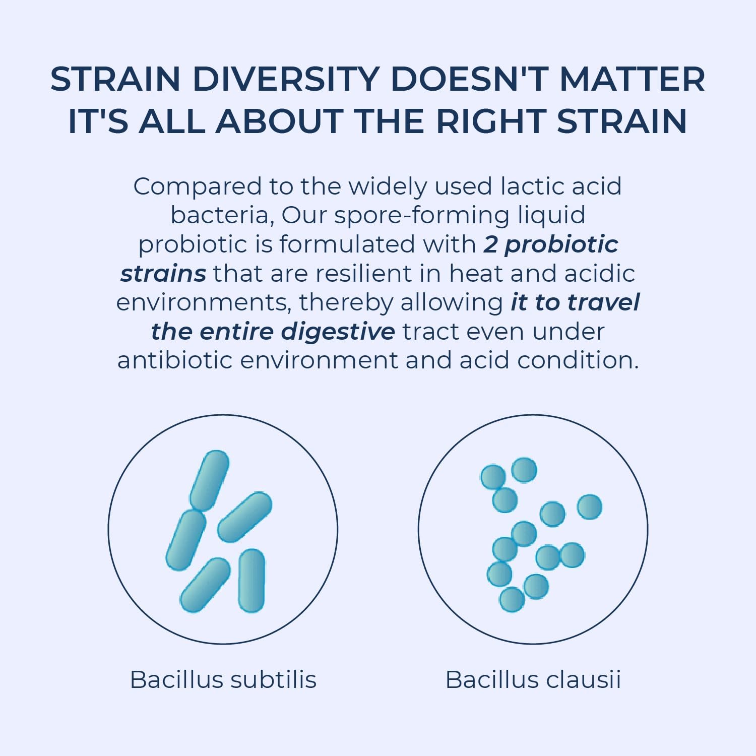 Rectum Soil-Based Probiotic Liquid for Gut Health - Stomach Relief, Bloating Reduction, Immune Support - Daily Drink for Adults and Kids - 20 Vials (3 Billion CFUs per Vial) - Espot.com.au