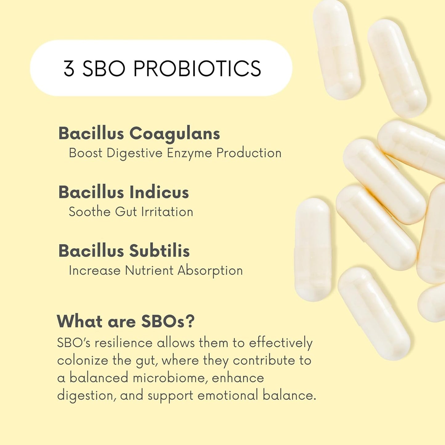 natural-mood-boosting-sporesoil-based-probiotics-for-digestion-mood-support---histamine-free---60-day-supply---non-gmo-dairy-free-gluten-free-vegan-3