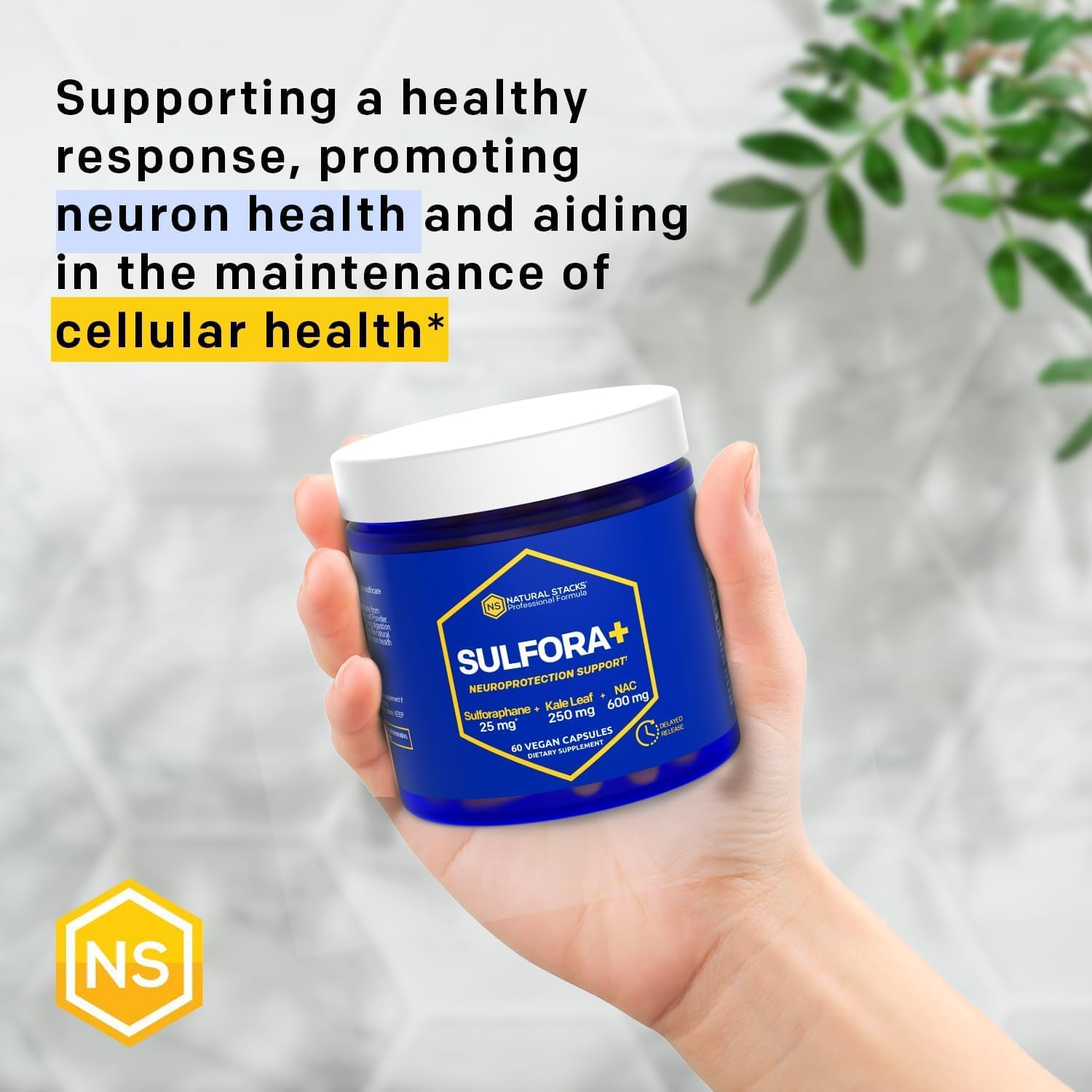 organic-nac-supplement-with-sulforaphane-kale-powder---brain-health-antioxidants---60-capsules-6