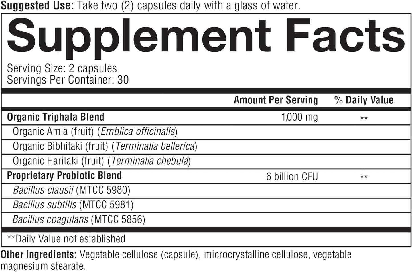 6-billion-cfu-youtheory-spore-probiotic-digestive-supplement---supports-gut-health---vegetarian-capsules---dairy-gluten-soy-free---stomach-acid-resistant-2