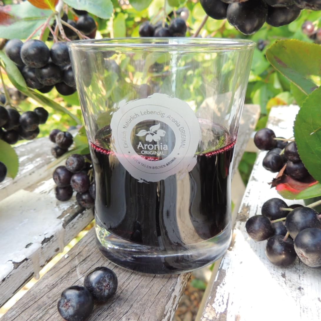 organic-aronia-berry-juice---237-fl-oz-pure-aronia-fruit-no-added-sugar-amber-glass-bottle-vegan-non-gmo-black-chokeberry-juice-pack-of-1-5
