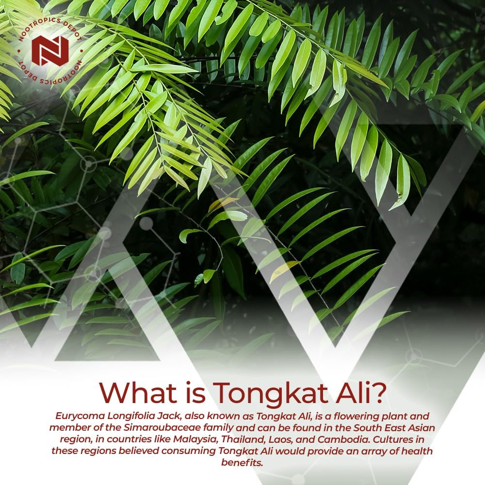 tongkat-ali-extract-capsules-100mg-60-count-high-eurycomanone-eurycoma-longifolia-root-extract-4