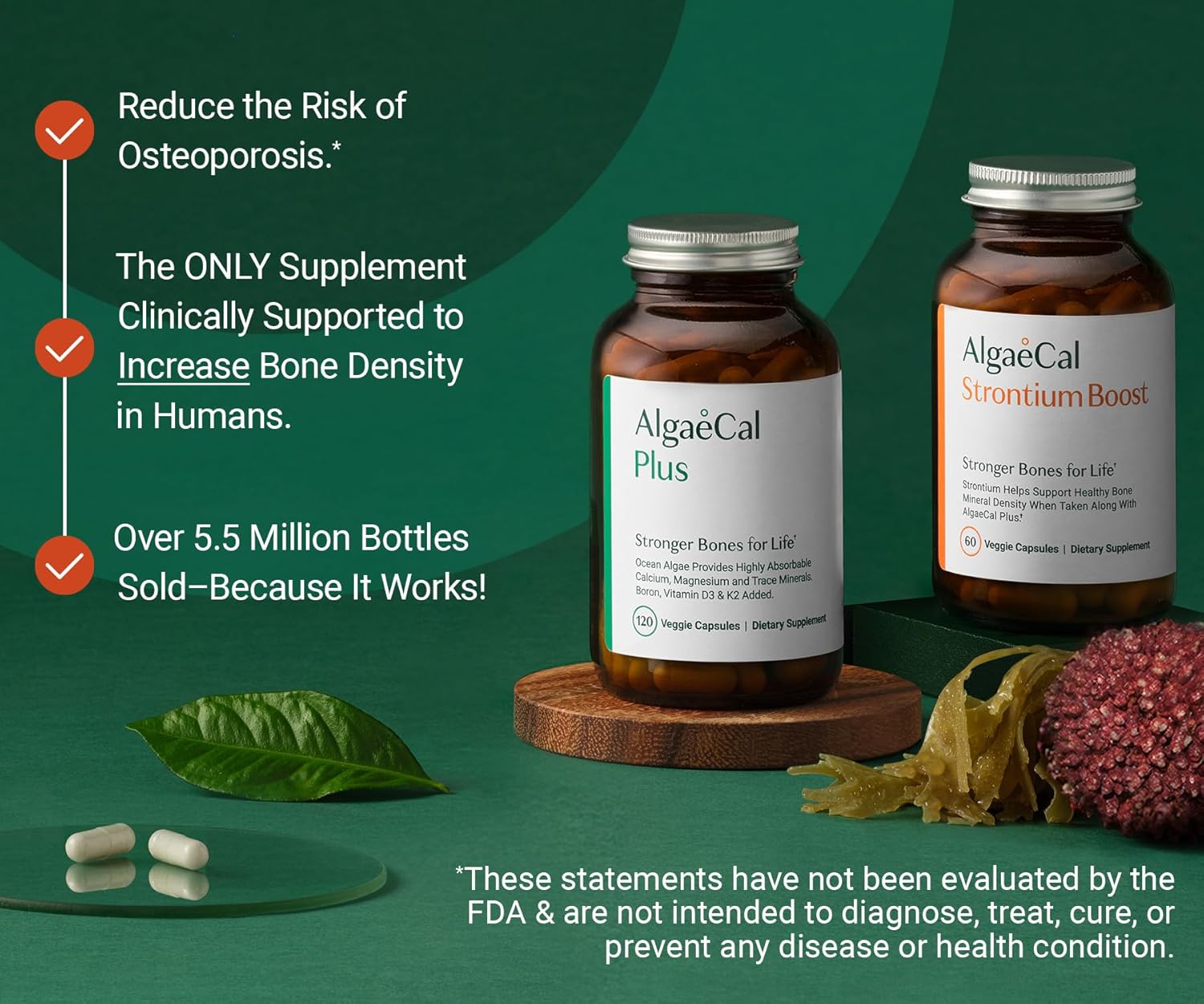 algaecal-bone-builder-pack---plant-based-calcium-strontium-supplement-for-bone-density-vitamins-k2-d3-magnesium-16-essential-nutrients-2