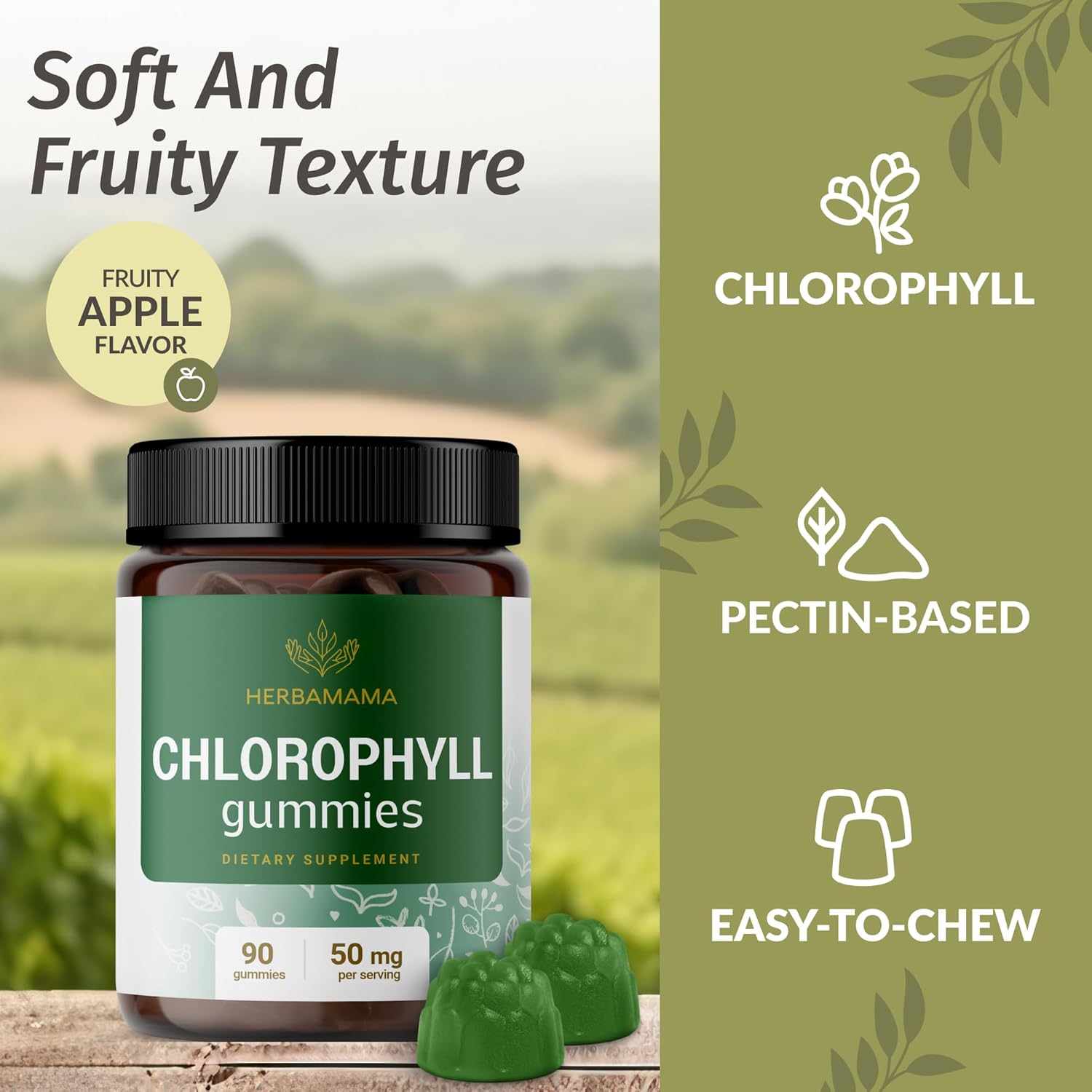 chlorophyll-and-turmeric-ginger-bundle-50mg-gummies-2fl-oz-tincture---vegan-non-gmo-alcohol-free---2-pack-6