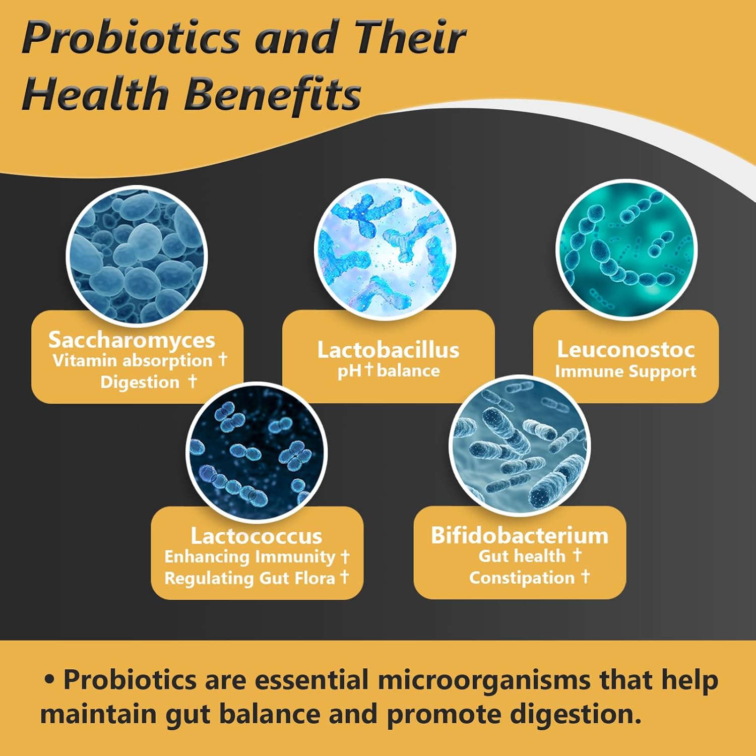organic-probiotic-with-prebiotics-for-gut-health---35-strain-probiotic-100-billion-cfu-vegan-supplement-for-men-and-women-non-gmo-raw-probiotic-120-capsules-4